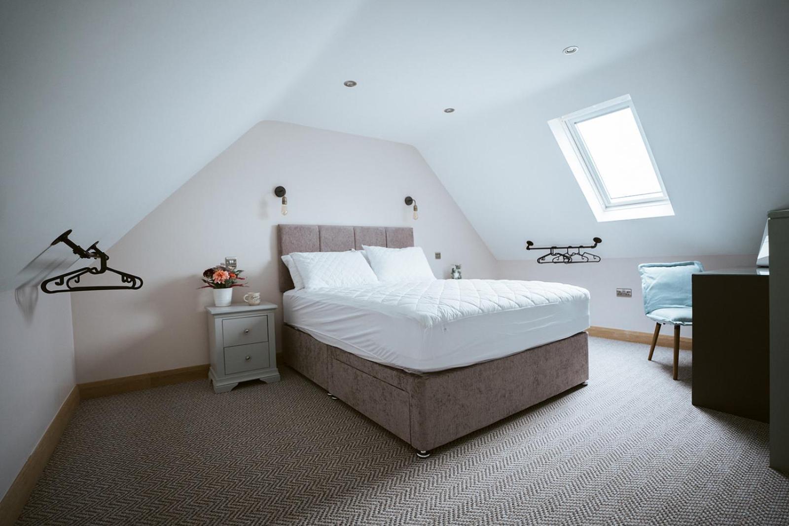 The Byre At Conker Tree Cottages Saintfield Extérieur photo